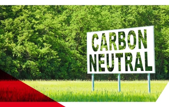 The Drive to Net Zero