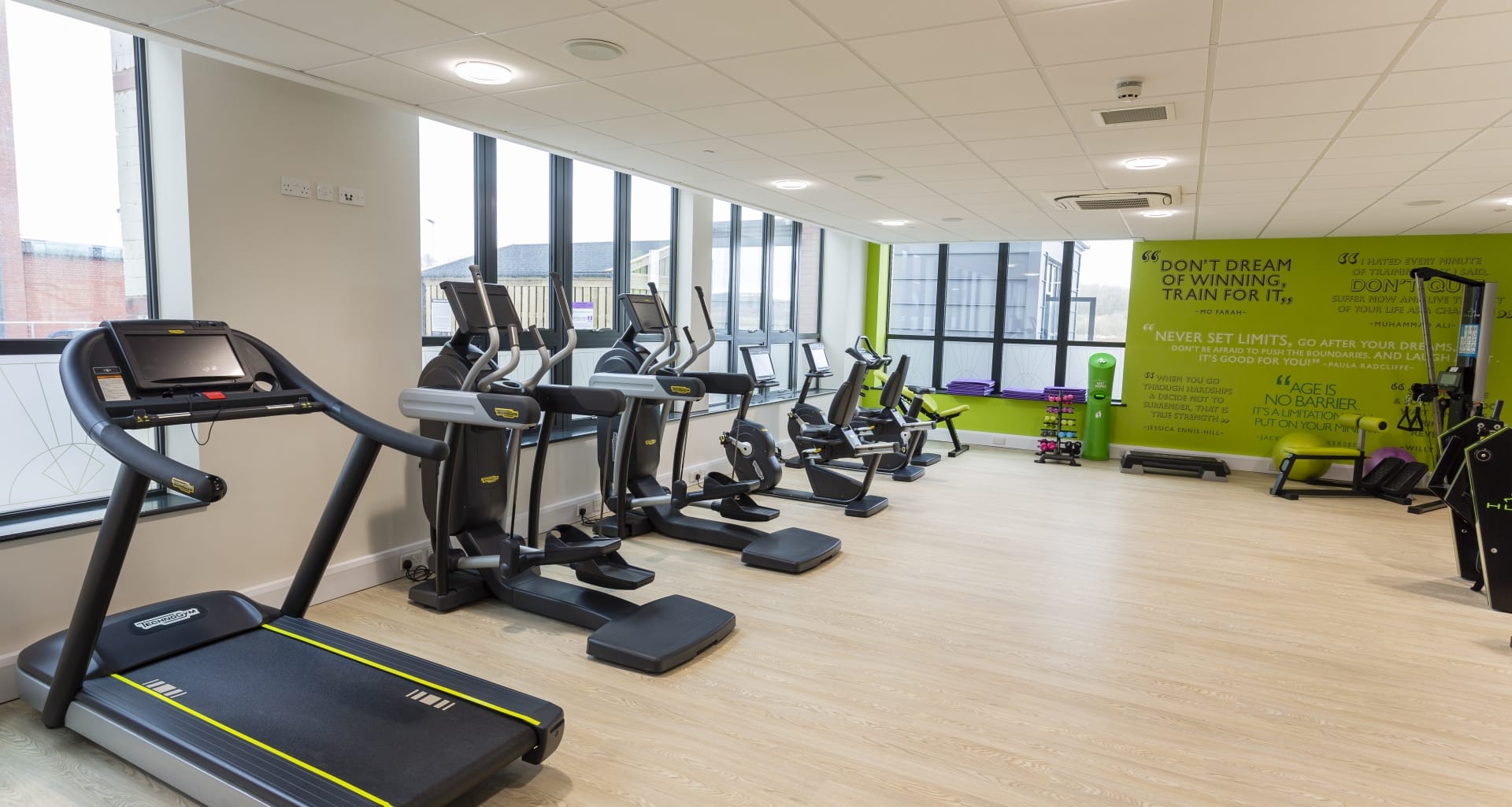 The Chocolate Quarter